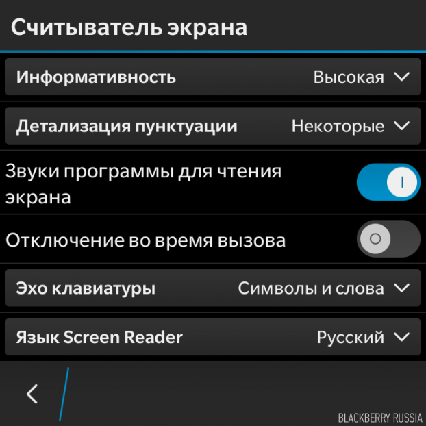 screen reader blackberry